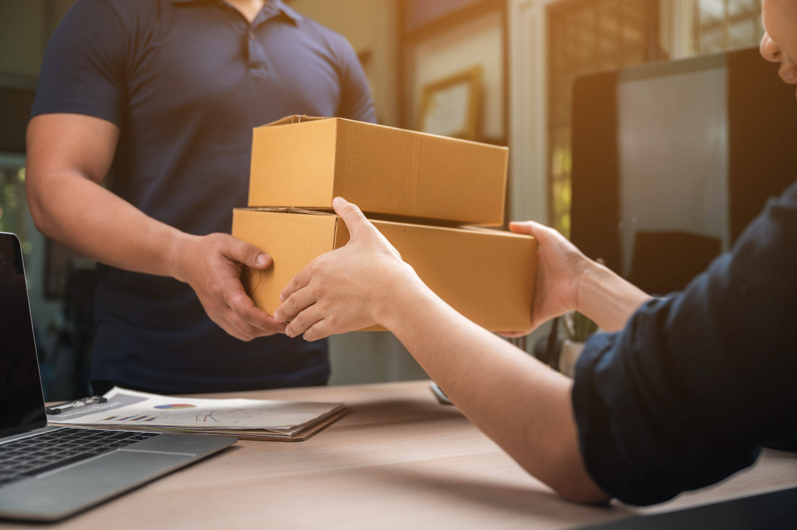 Entrega y capacitación